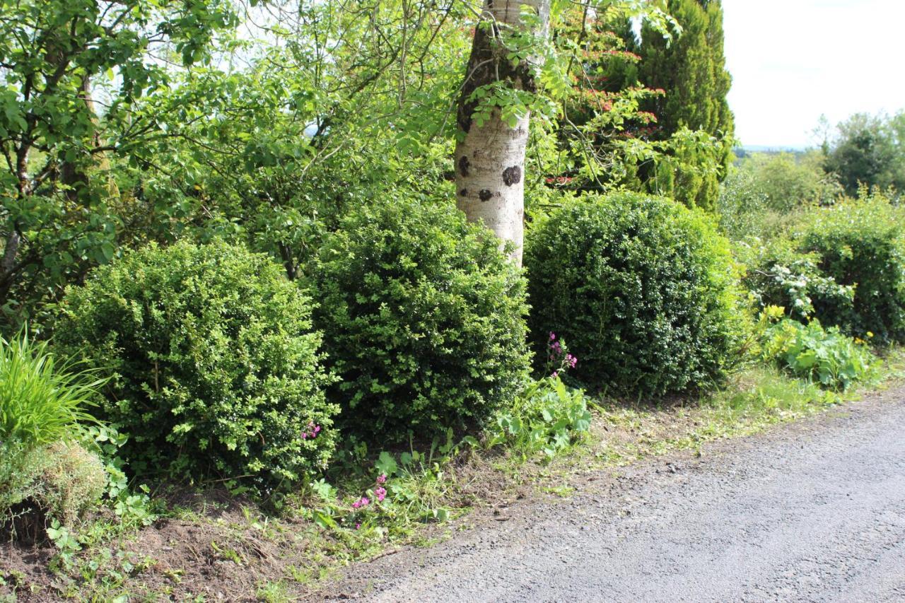 Ketty'S Cottage Rosslea Екстериор снимка